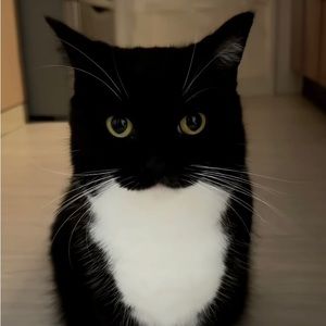 Meet your Posher, Jonathan